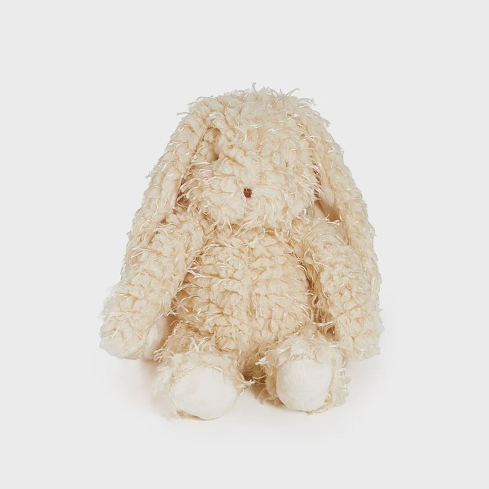 Harey the Bunny