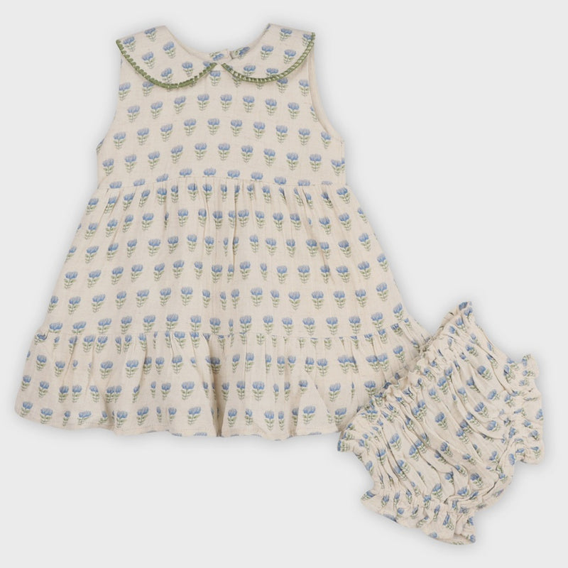 Peter Pan Collar Floral Baby Flare Dress & Bloomer