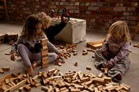 Wooden Blocks in Tray - 54 piece