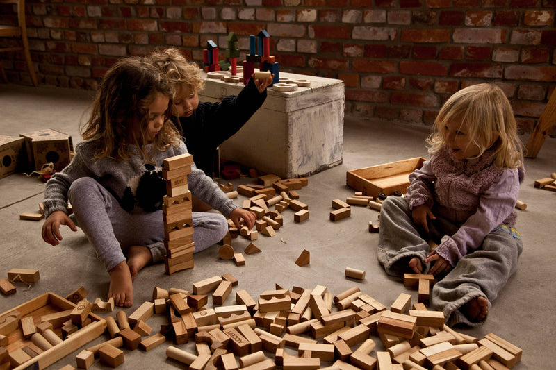 Wooden Blocks in Tray - 54 piece