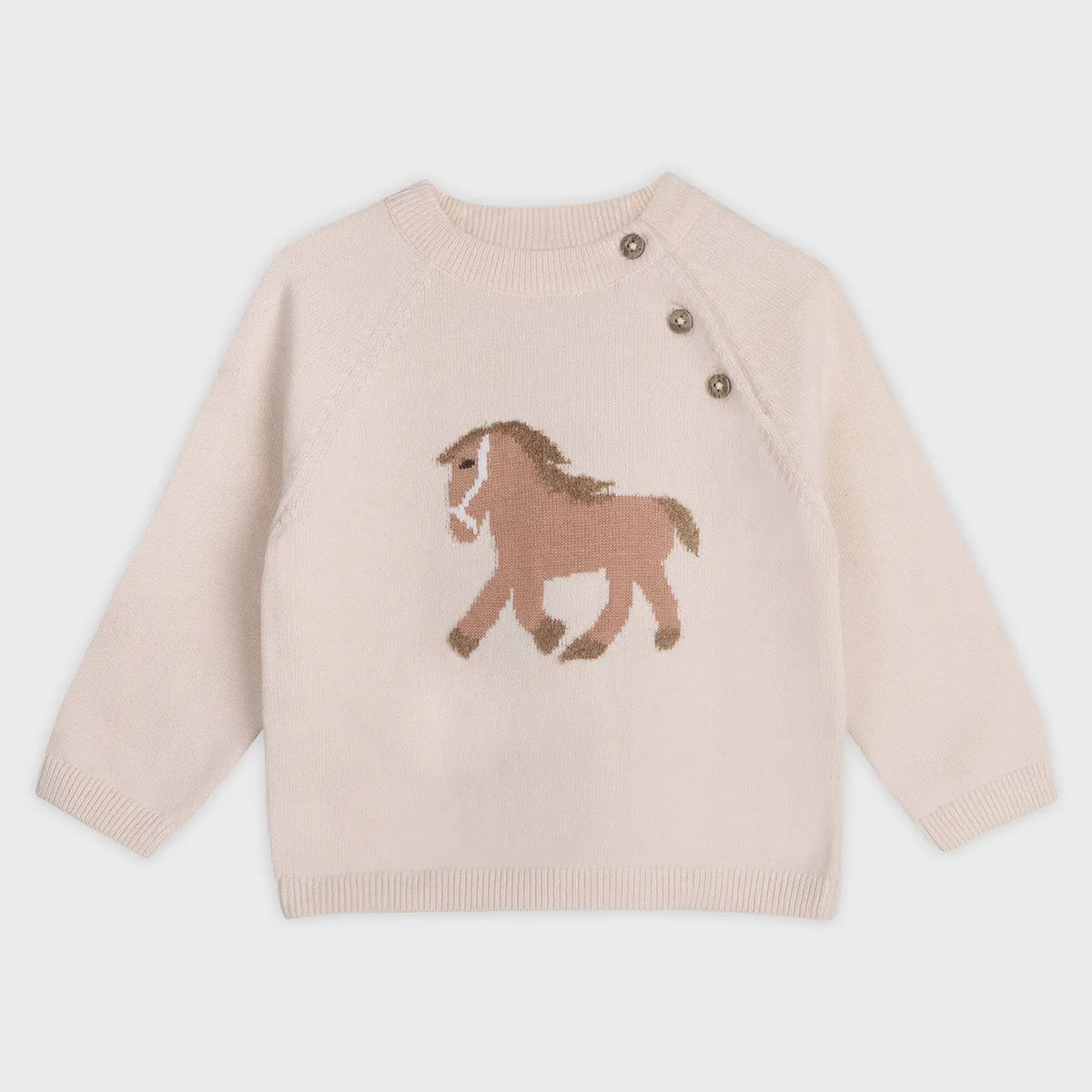 Organic Cotton Knit Sweater