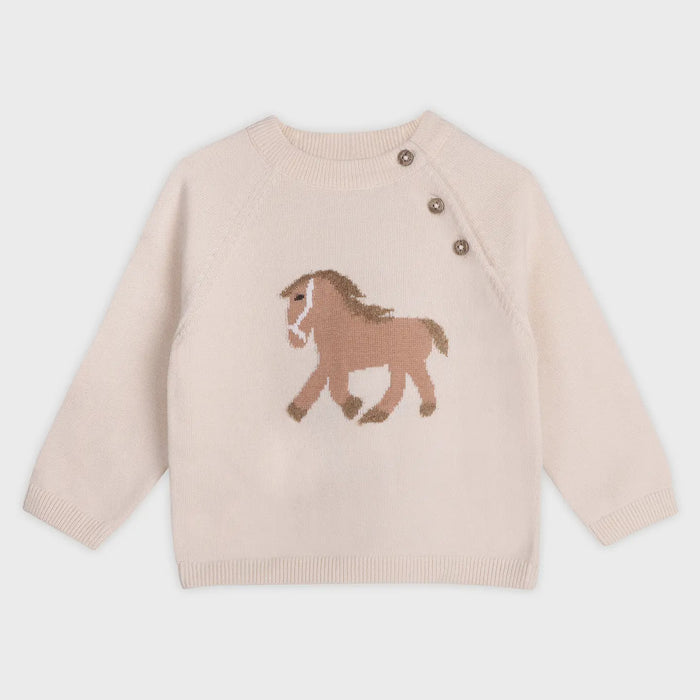 Organic Cotton Knit Sweater
