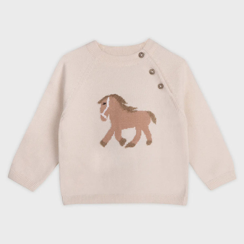 Organic Cotton Knit Sweater