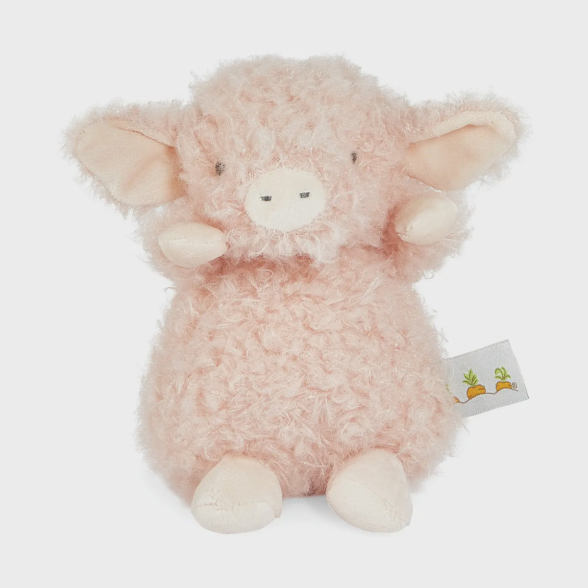 Wee Hammie The Pig