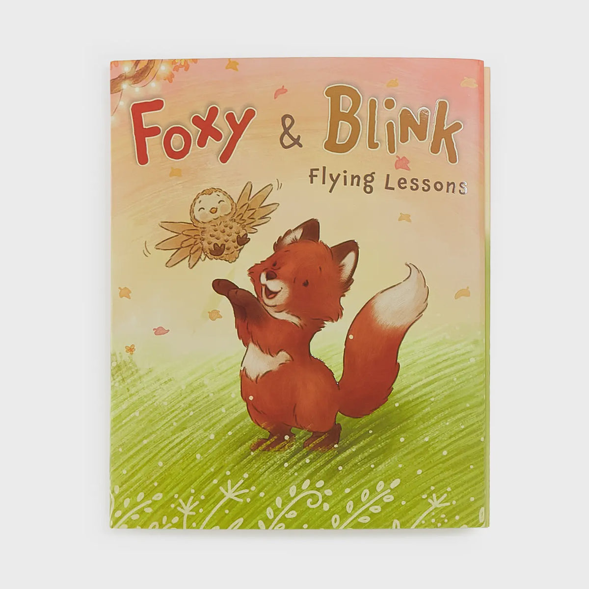 Foxy & Blink Flying Lessons Story Book