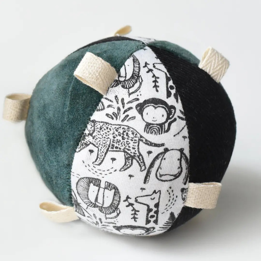 Taggy Ball w/Rattle