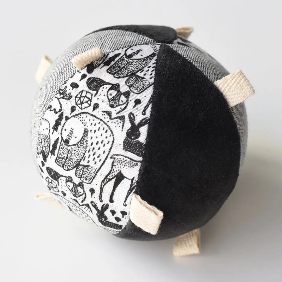 Taggy Ball w/Rattle