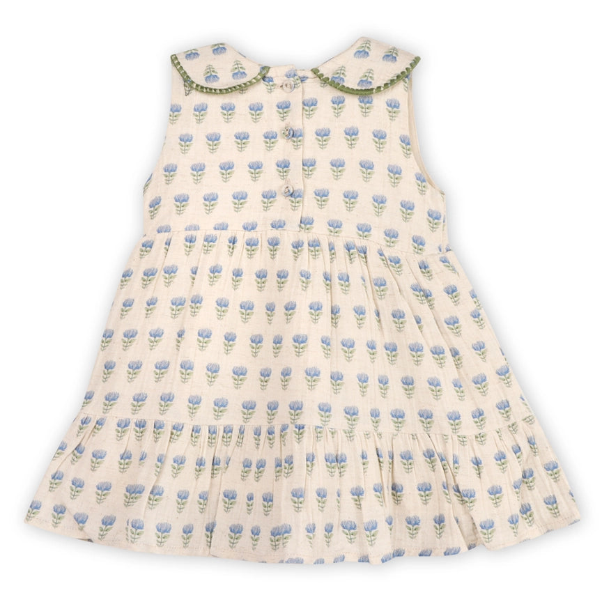 Peter Pan Collar Floral Baby Flare Dress & Bloomer