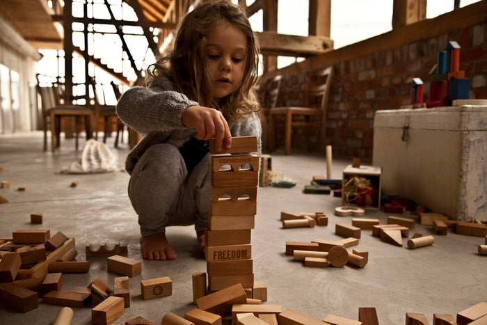 Wooden Blocks in Tray 30 piece