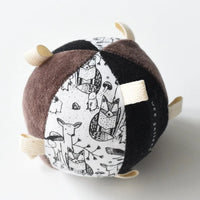 Taggy Ball w/Rattle