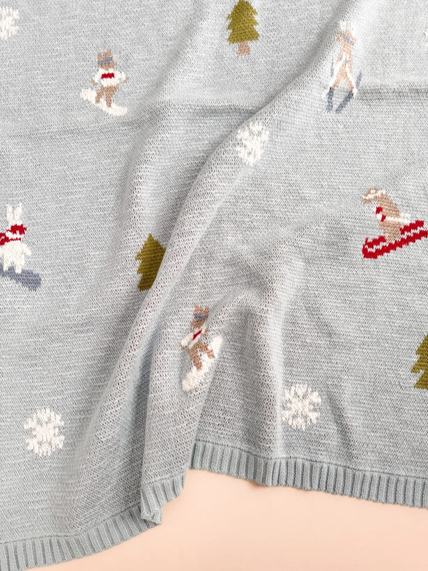 Ski Blanket